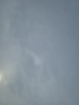 Fuckboy4public online show from March 12, 2026, 11:22 pm