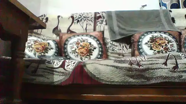 Snapshot of shalini_fire chatting on July 29, 2026, 9:29 am shalini fire online show from July 29, 2026, 9:29 am