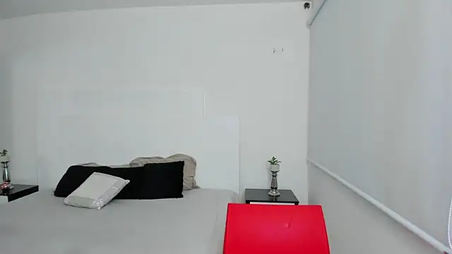 Snapshot of Dylan_Taylor chatting on February 27, 2025, 3:25 am Dylan Taylor online show from February 27, 2025, 3:25 am