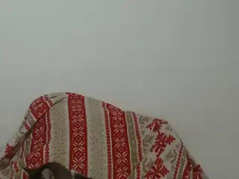 Snapshot of Hannabeckboobs chatting on January 12, 2025, 5:03 am Hannabeckboobs online show from January 12, 2025, 5:03 am