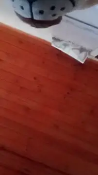 Darly Gomez online show from December 31, 2024, 4:46 pm