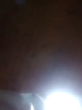 Darly Gomez online show from March 23, 2025, 12:04 am