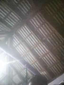 Feli230990 online show from April 8, 2026, 5:18 am