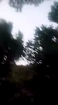 Danna-linyi online show from December 20, 2024, 11:37 pm