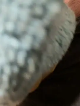 edgher646 online show from February 27, 2026, 11:21 am