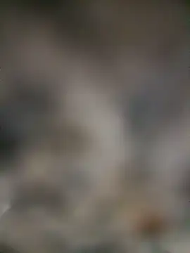 Snapshot of Cute-Aadhvita chatting on July 6, 2026, 2:41 am Cute-Aadhvita online show from July 6, 2026, 2:41 am
