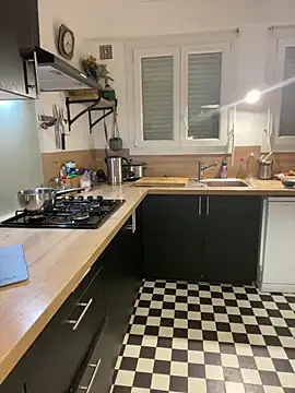 Snapshot of ImImmy chatting on January 14, 2025, 6:17 pm ImImmy online show from January 14, 2025, 6:17 pm