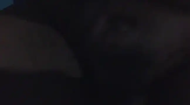 Penis58 online show from December 16, 2024, 11:39 pm