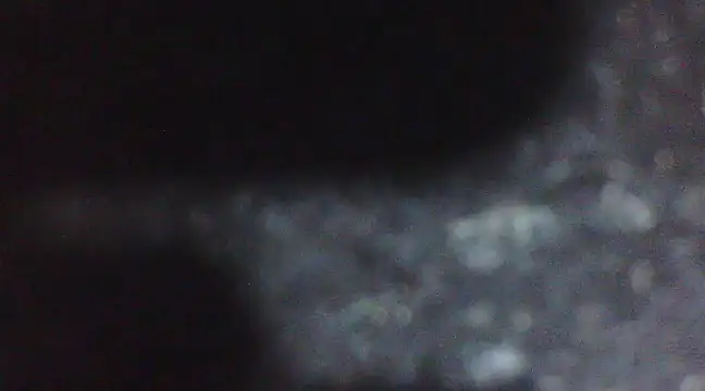 Penis58 online show from February 10, 2025, 6:56 pm