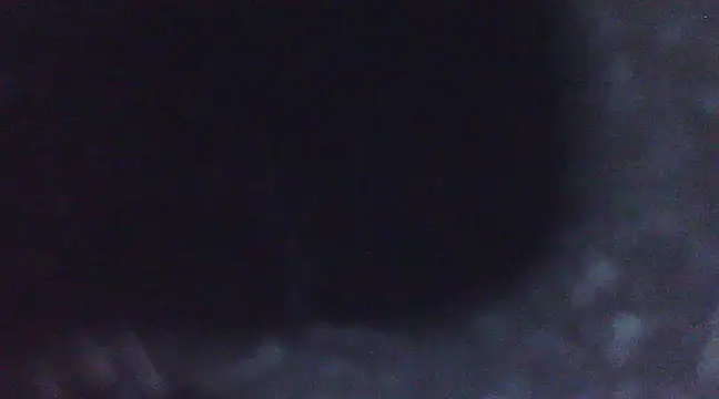 Penis58 online show from March 2, 2025, 2:54 pm