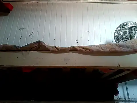 frotasso online show from February 20, 2026, 3:23 pm