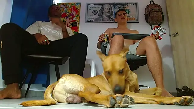 boss of cash online show from July 14, 2026, 6:24 pm