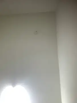 Snapshot of bidex002 chatting on May 16, 2026, 12:07 am bidex002 online show from May 16, 2026, 12:07 am