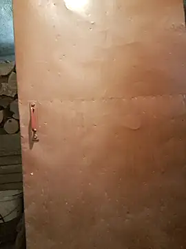 Snapshot of koudelka2322 chatting on February 28, 2026, 9:10 am koudelka2322 online show from February 28, 2026, 9:10 am