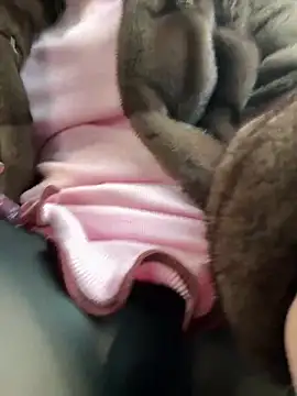 AndreaMood online show from February 1, 2025, 6:43 am