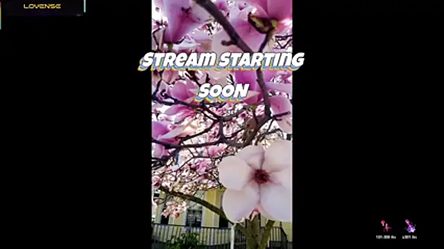 Snapshot of Hackensackneil chatting on July 29, 2026, 9:24 pm Hackensackneil online show from July 29, 2026, 9:24 pm