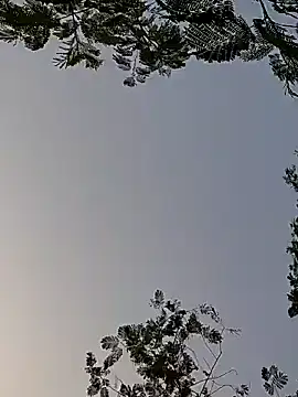 Snapshot of Whitehouse01 chatting on December 29, 2024, 1:56 am Whitehouse01 online show from December 29, 2024, 1:56 am