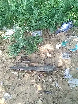 Snapshot of teluguu-rajj chatting on October 21, 2025, 6:47 am teluguu-rajj online show from October 21, 2025, 6:47 am