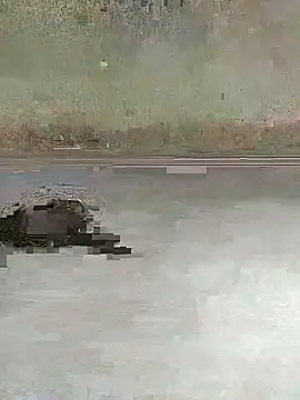 Snapshot of teluguu-rajj chatting on October 27, 2025, 2:37 am teluguu-rajj online show from October 27, 2025, 2:37 am