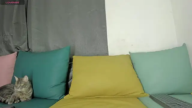 maison sofia1 online show from January 7, 2025, 3:46 am