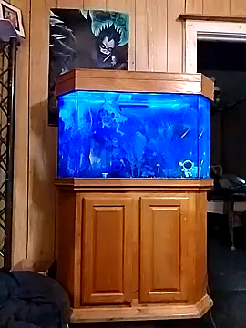 Snapshot of Rebeckalove chatting on February 16, 2025, 1:49 pm Rebeckalove online show from February 16, 2025, 1:49 pm