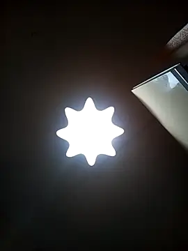 Lauren Amabel online show from January 31, 2026, 7:11 pm