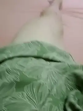 Snapshot of curtindo-muito82 chatting on February 11, 2026, 12:26 am curtindo-muito82 online show from February 11, 2026, 12:26 am