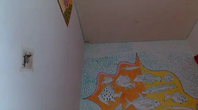 boysLittle online show from February 5, 2025, 2:59 pm