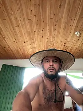 pegaso888888 online show from March 17, 2026, 8:56 pm