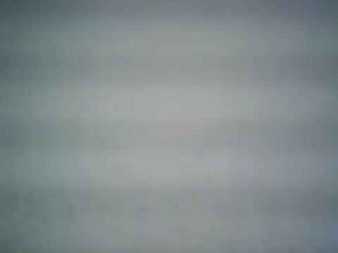 michel1520 online show from June 15, 2026, 5:48 pm