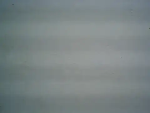 michel1520 online show from June 30, 2026, 4:24 am