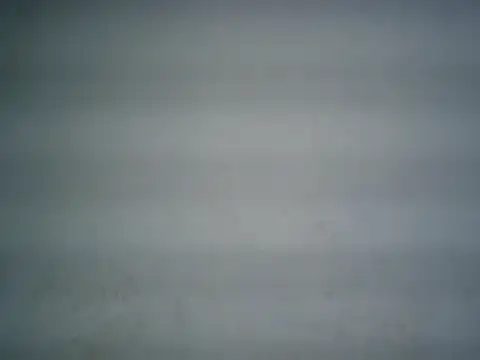 michel1520 online show from July 2, 2026, 3:23 am