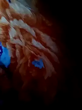 rameshjisex online show from November 12, 2025, 1:17 am