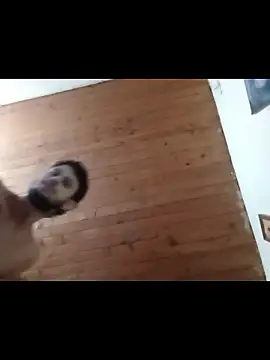 Snapshot of nxus77 chatting on December 15, 2025, 6:39 am nxus77 online show from December 15, 2025, 6:39 am