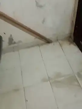 Snapshot of Jinenez chatting on February 26, 2025, 8:37 am Jinenez online show from February 26, 2025, 8:37 am