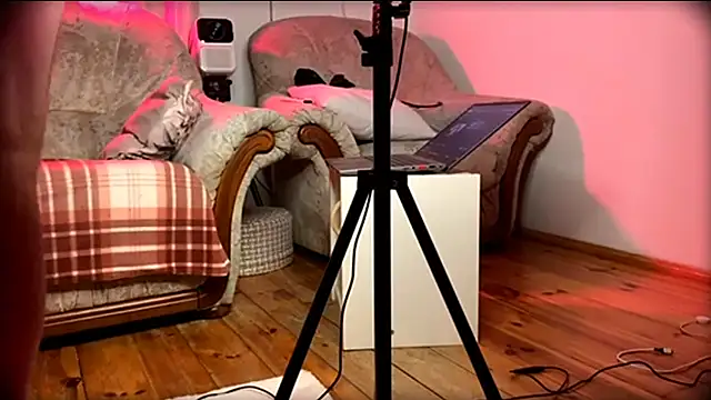 AssHunter4k online show from February 23, 2025, 12:30 am