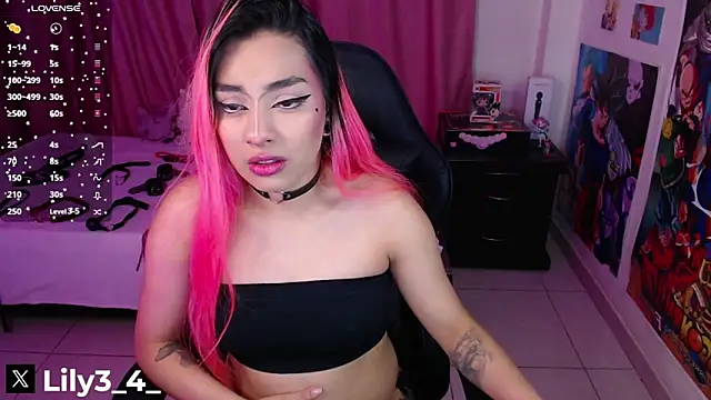 Snapshot of lily3_4 chatting on February 2, 2025, 10:02 am lily3 4 online show from February 2, 2025, 10:02 am