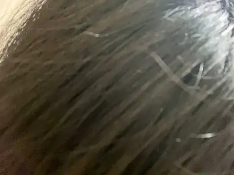 riri riri jp online show from December 15, 2025, 11:25 am