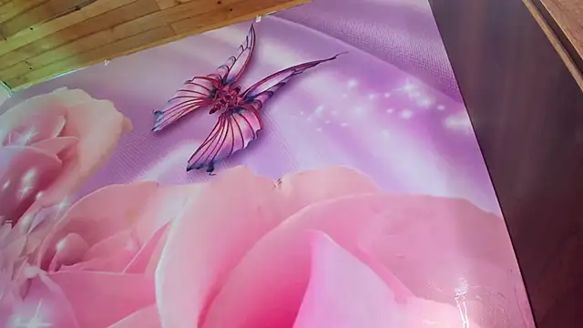 Snapshot of emili_clark chatting on March 21, 2025, 10:39 am emili clark online show from March 21, 2025, 10:39 am