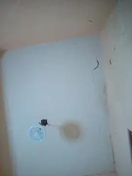 Snapshot of LuisMex1998 chatting on November 14, 2025, 2:21 am LuisMex1998 online show from November 14, 2025, 2:21 am