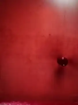 Raj41 online show from October 21, 2025, 9:43 am