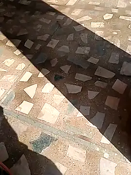 Raj41 online show from November 13, 2025, 4:44 am