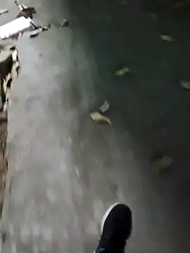 Raj41 online show from January 13, 2026, 2:44 pm