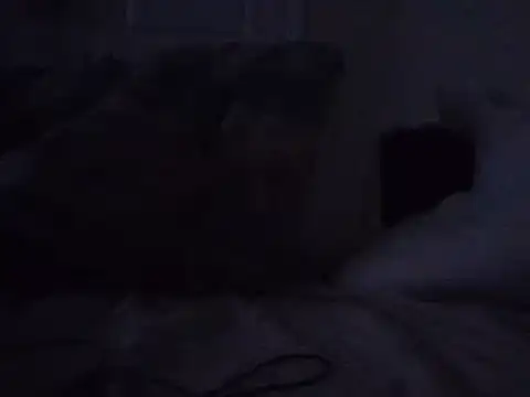 Snapshot of angeliquebelcali chatting on March 11, 2025, 7:37 am angeliquebelcali online show from March 11, 2025, 7:37 am