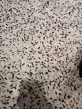 Snapshot of garibaldi1974 chatting on December 5, 2025, 1:31 pm garibaldi1974 online show from December 5, 2025, 1:31 pm