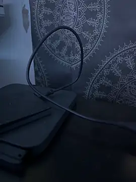 Snapshot of luiriv04 chatting on March 8, 2025, 8:33 am luiriv04 online show from March 8, 2025, 8:33 am