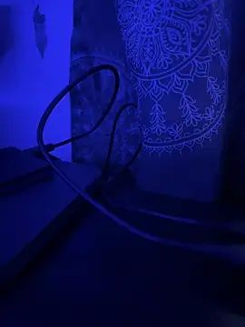 Snapshot of luiriv04 chatting on March 14, 2025, 8:42 am luiriv04 online show from March 14, 2025, 8:42 am