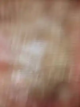 Snapshot of xmanrawan2 chatting on February 20, 2025, 8:39 am xmanrawan2 online show from February 20, 2025, 8:39 am