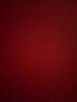 eileensophi online show from February 27, 2026, 2:33 am