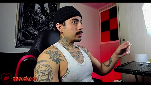 scockpion   online show from February 18, 2026, 8:32 am